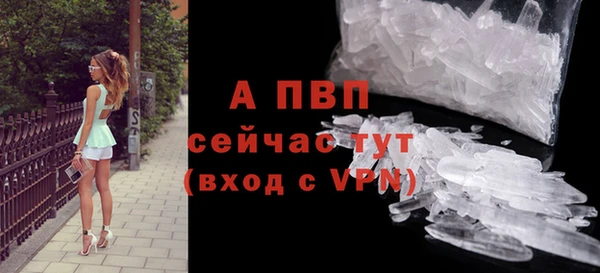 молекула духа Майский