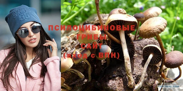 молекула духа Майский