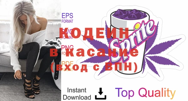 шишки Мегион