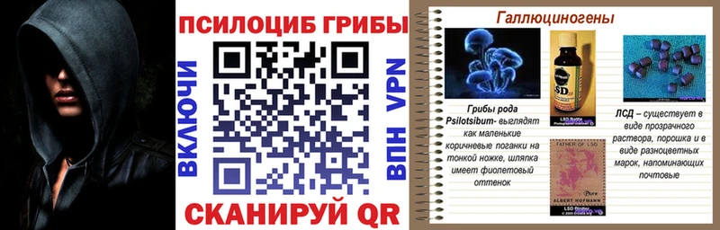Купить закладки  Зима  Псилоцибиновые грибы Psilocybe 