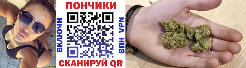 Канабис Bruce Banner  Купить где  Зима 
